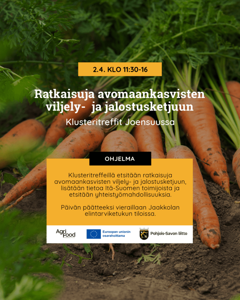 Klusteritreffeillä 2.4. etsitään ratkaisuja avomaankasvisten viljely- ja jalostusketjuun.
