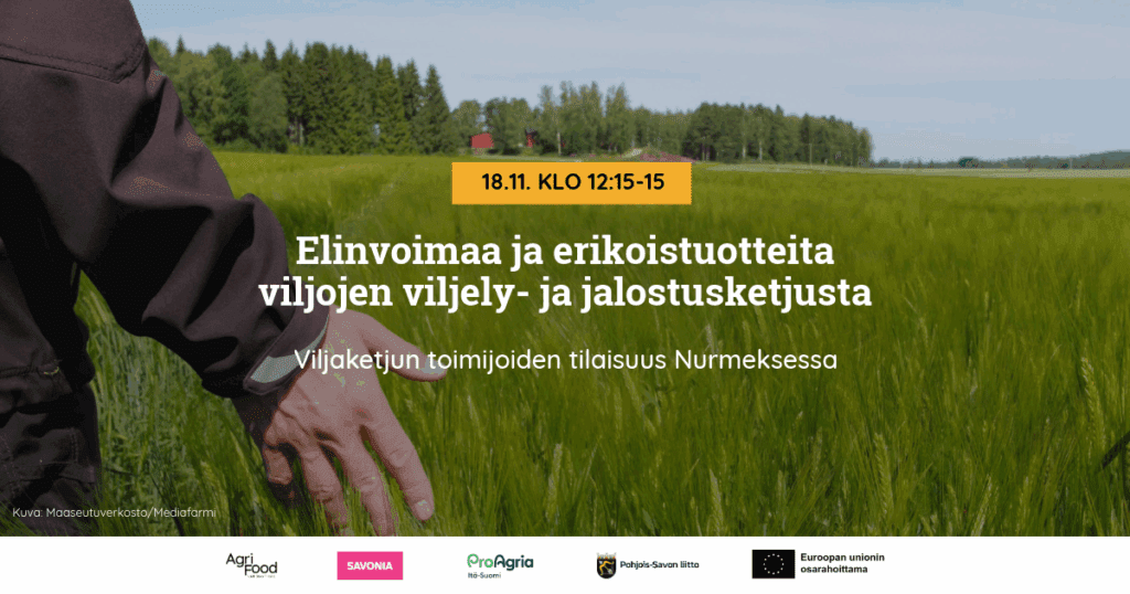 Viljapelto ja viljelijän käsi